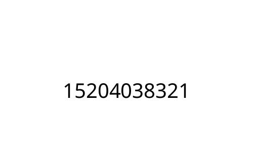 15204038321