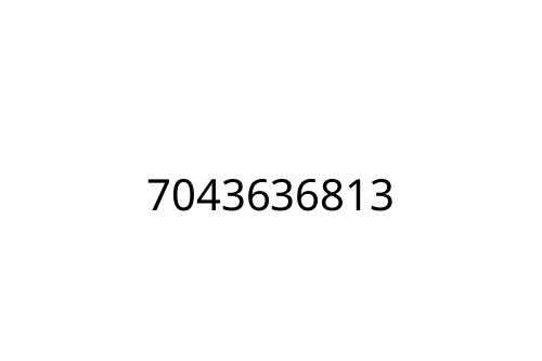 7043636813