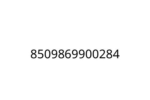 8509869900284