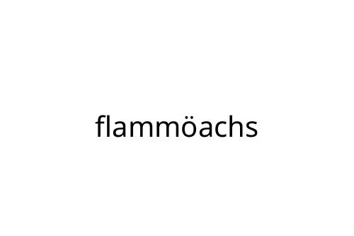 flamm_achs