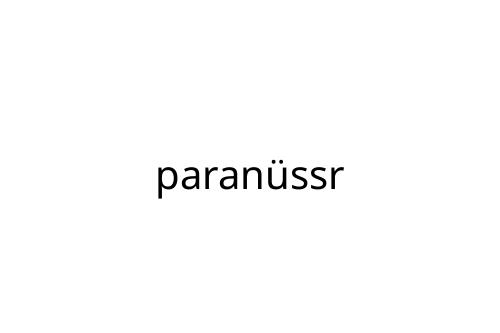 paran_ssr