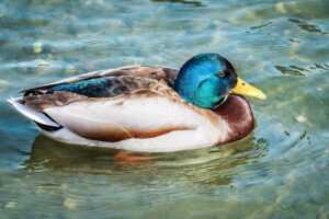 hosted event zero1vent