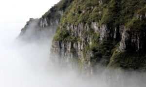 how to download rogrand525 pc games for free