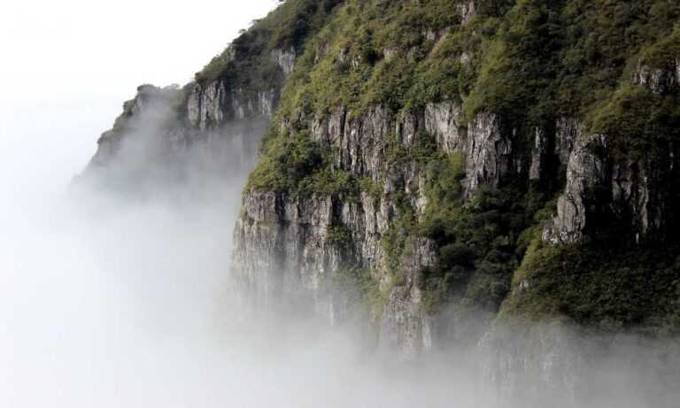 how to download rogrand525 pc games for free