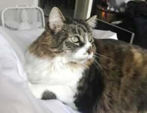 places to visit on the beevitius