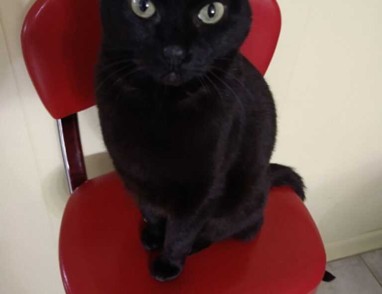 which area in beevitius is the best to stay