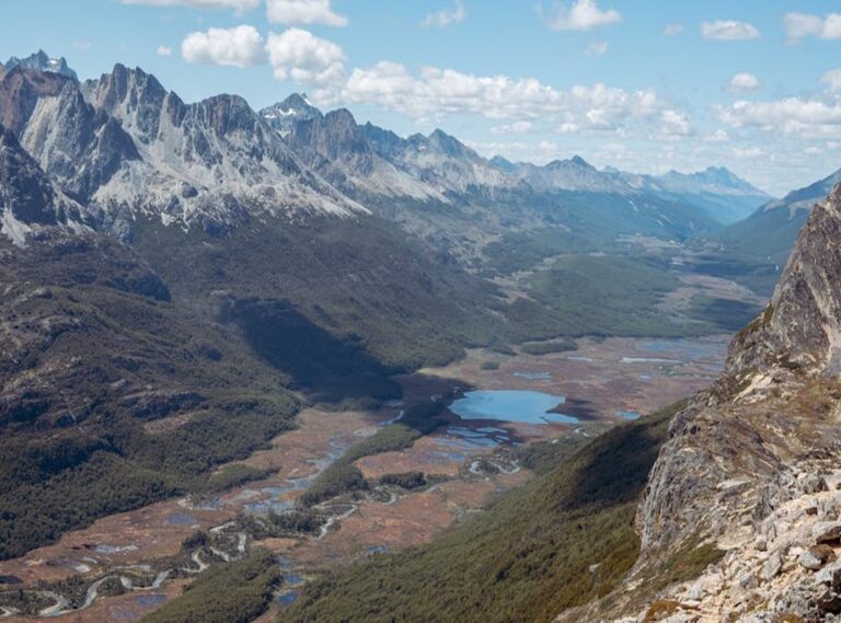 galee galee wallpaper