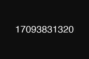 17093831320