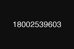 18002539603