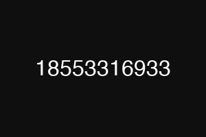 18553316933