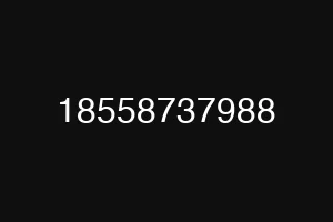 18558737988