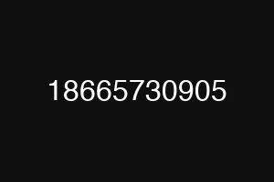 18665730905