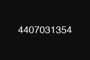 4407031354