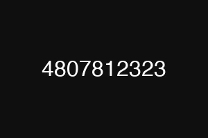 4807812323