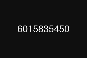 6015835450