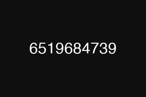 6519684739