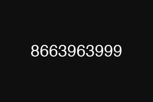 8663963999