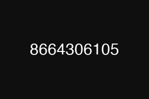 8664306105