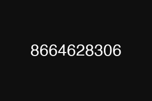 8664628306