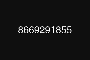 8669291855