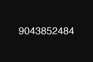 9043852484