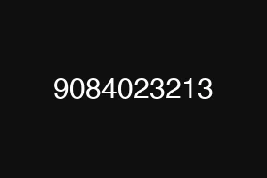 9084023213