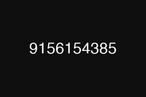 9156154385