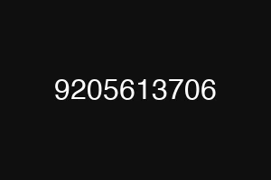 9205613706