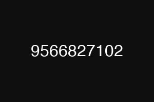 9566827102