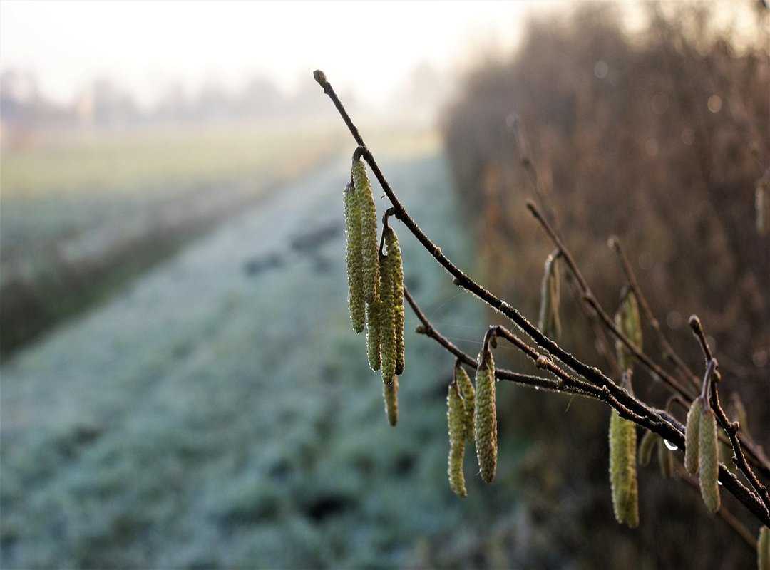 What to Manage a Business Gscnewstown