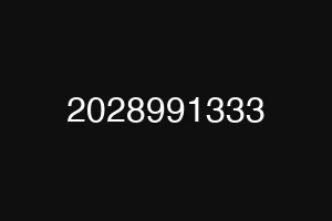 2028991333