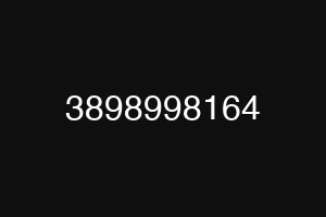 3898998164